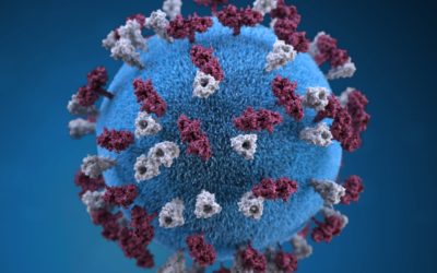 Does Coronavirus Cure Exist?